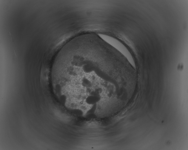 X0000093250115200710171435