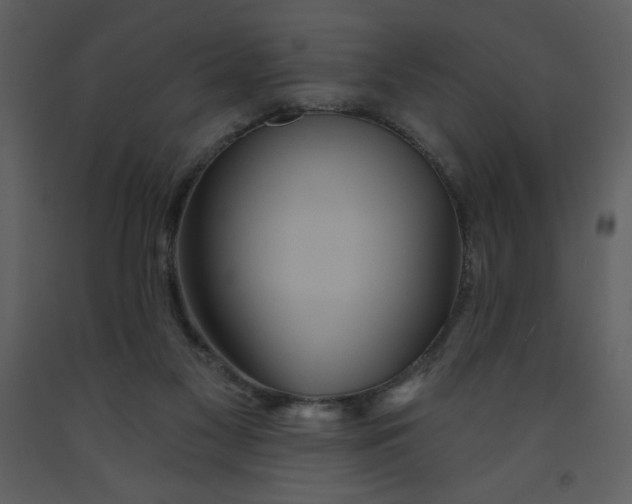 X0000093250117200710171435