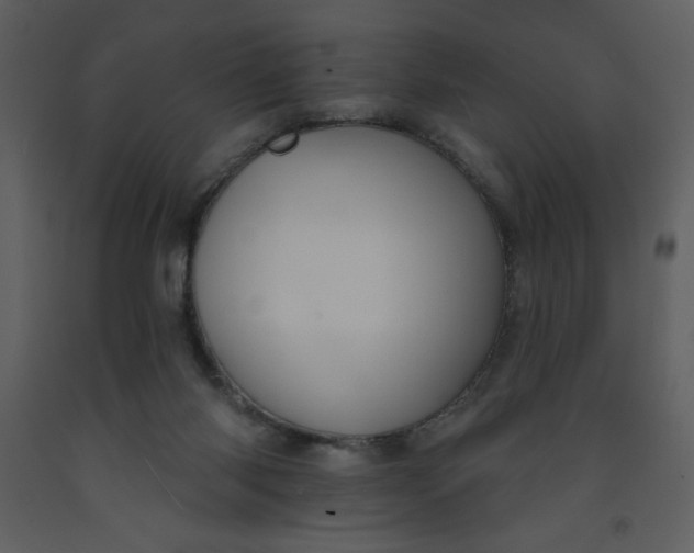 X0000093250118200710171435