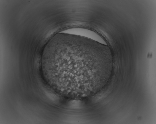 X0000093250119200710171435