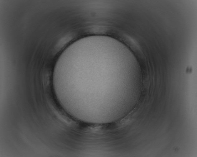 X0000093250120200710171435