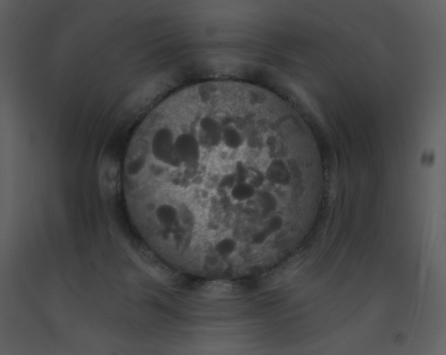 X0000093250123200710171435