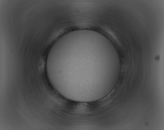 X0000093250124200710171435