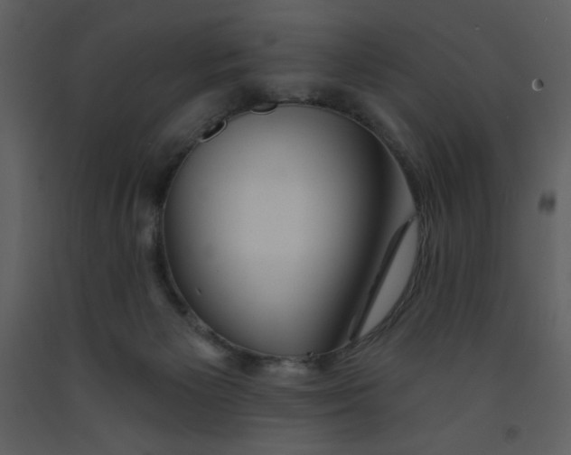 X0000093250125200710171435