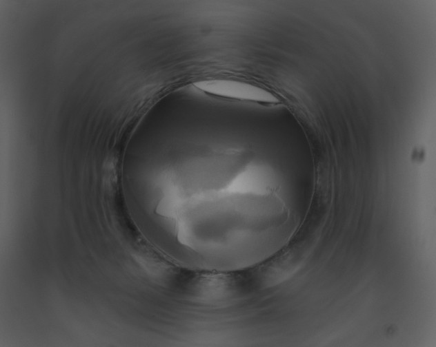 X0000093250127200710171435