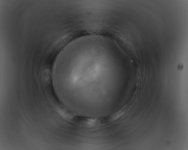 X0000093250130200710171434