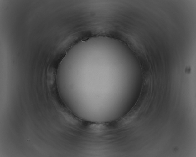 X0000093250133200710171434