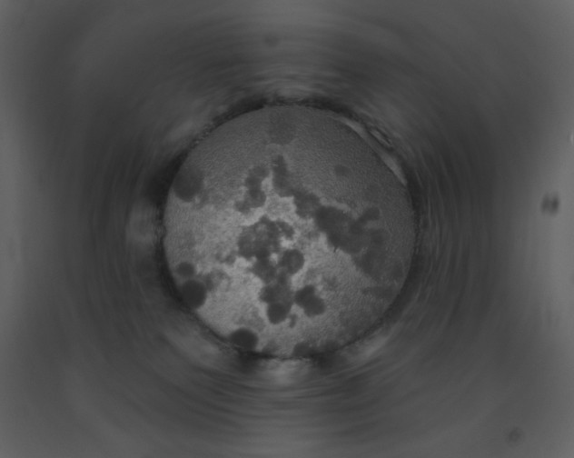 X0000093250135200710171434