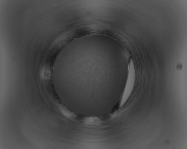 X0000093250137200710171434