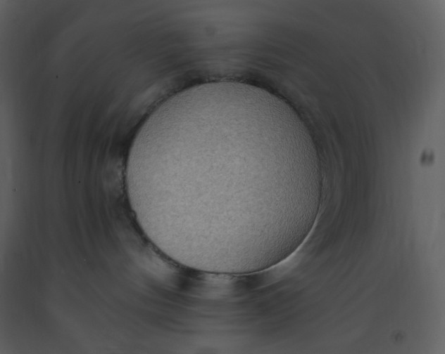 X0000093250144200710171434