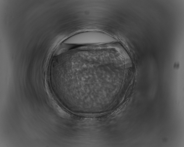 X0000093250145200710171434