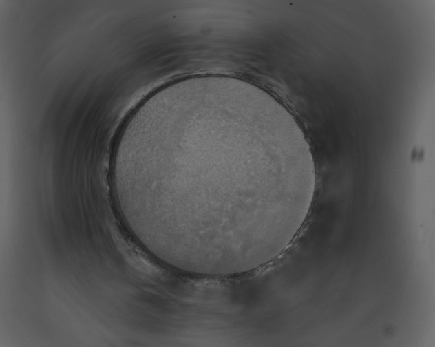 X0000093250146200710171434