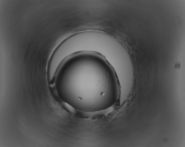 X0000093250148200710171434