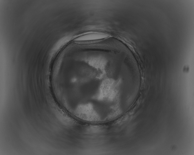 X0000093250149200710171434