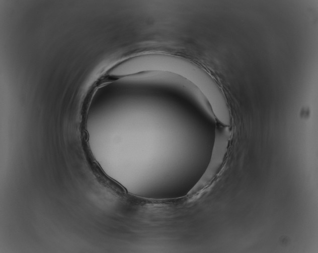 X0000093250150200710171434