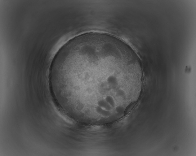 X0000093250151200710171434