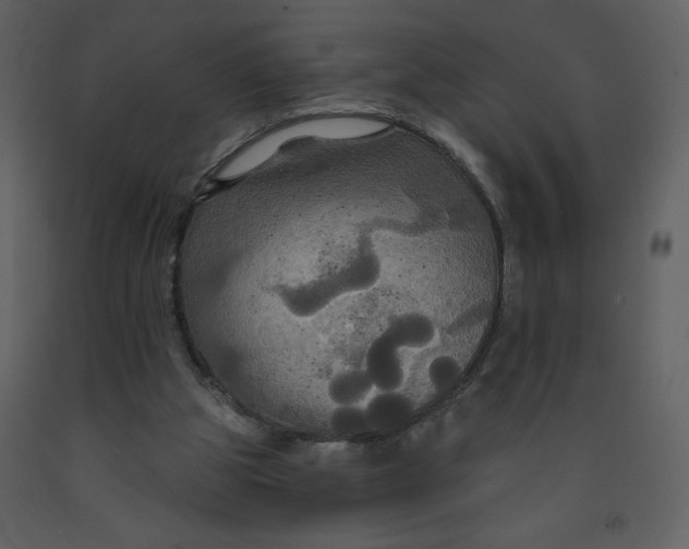 X0000093250153200710171434