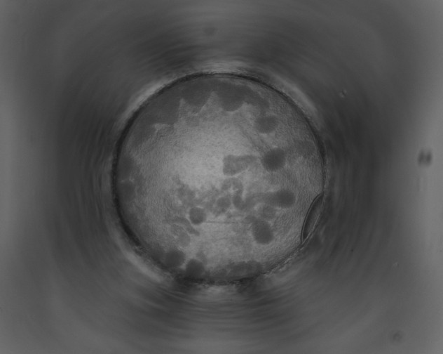 X0000093250155200710171434