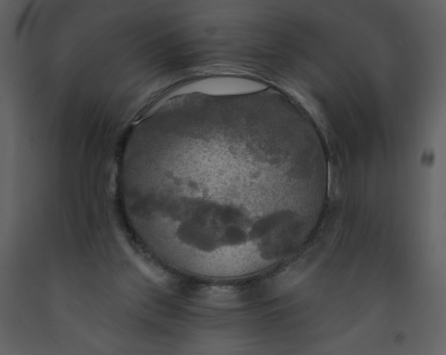 X0000093250157200710171434