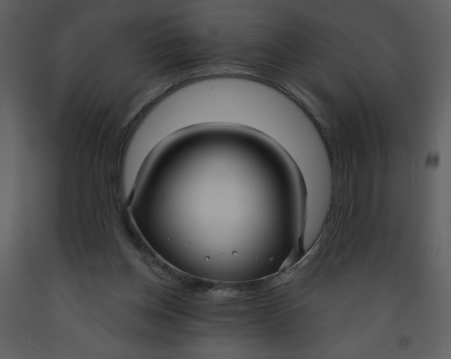 X0000093250158200710171434