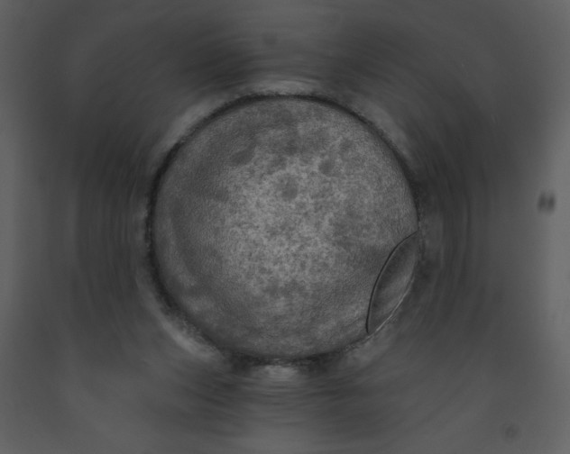 X0000093250159200710171434