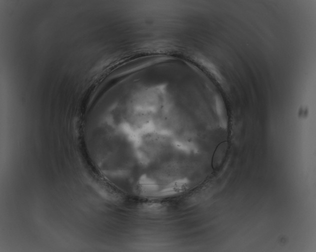 X0000093250161200710171434