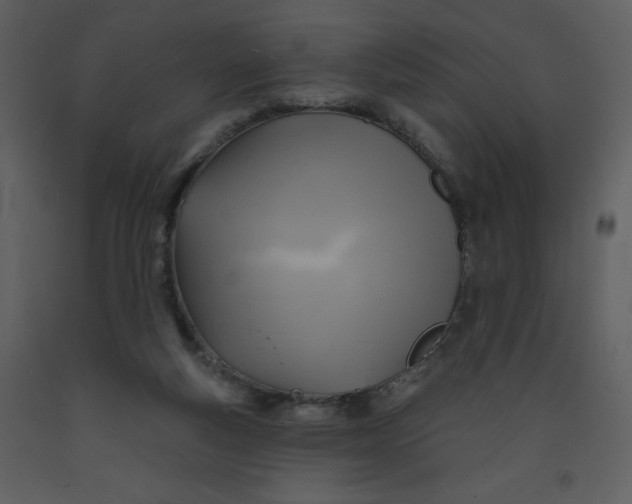 X0000093250163200710171434