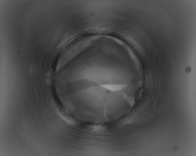 X0000093250165200710171434