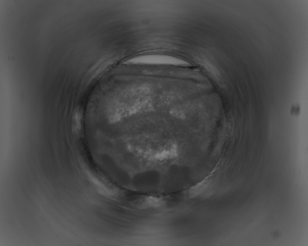 X0000093250166200710171434