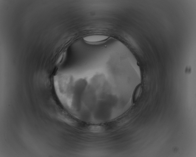 X0000093250169200710171434