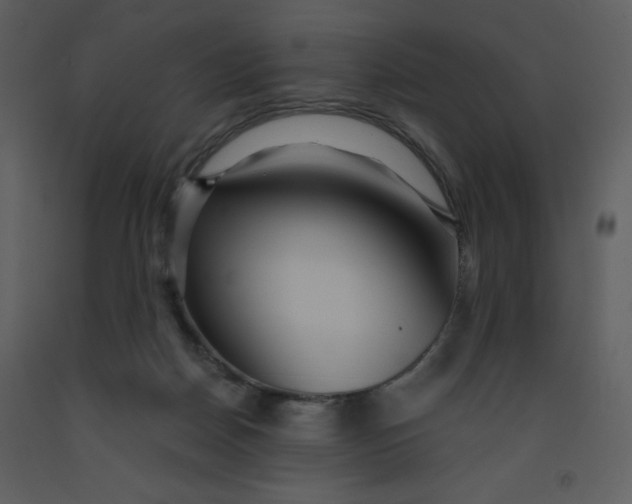 X0000093250170200710171434