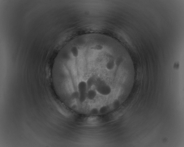 X0000093250173200710171434