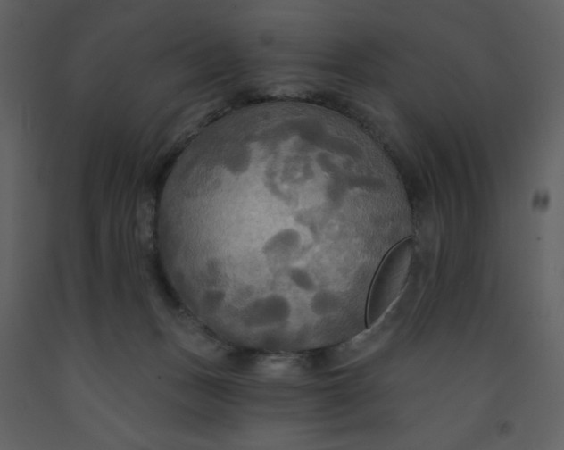 X0000093250175200710171434