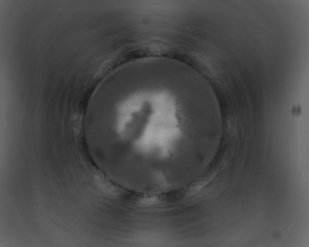 X0000093250177200710171434