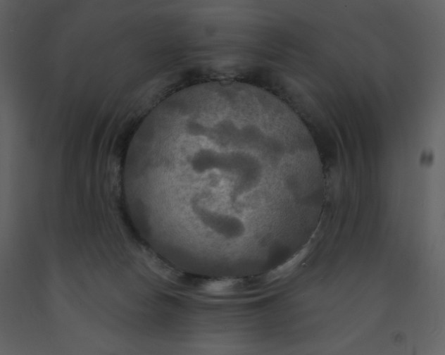 X0000093250178200710171434