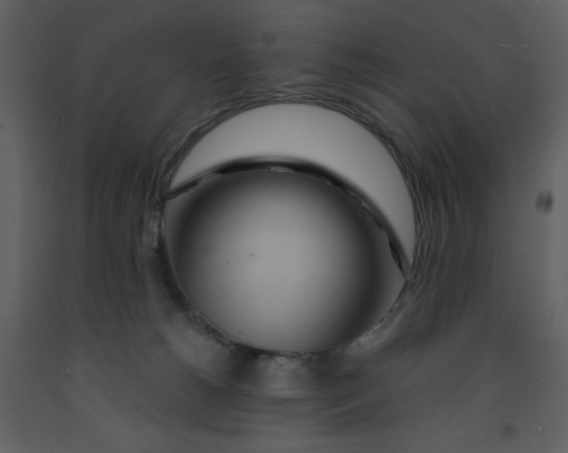 X0000093250180200710171434