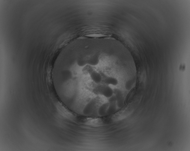 X0000093250185200710171434