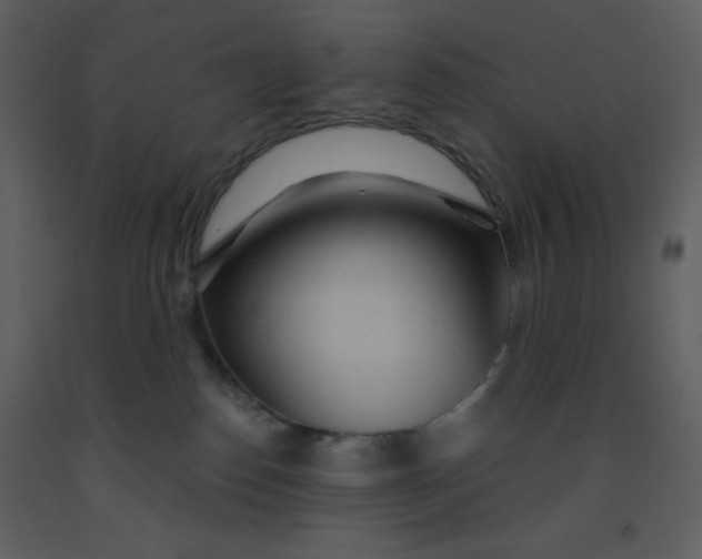 X0000093250186200710171434