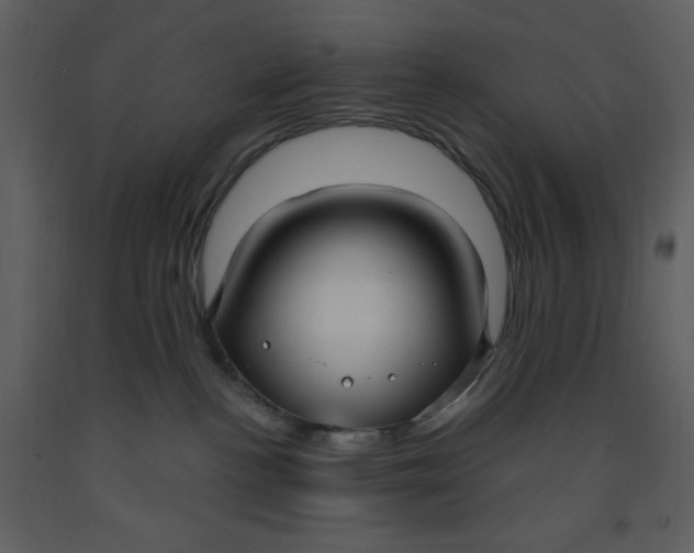 X0000093250188200710171434