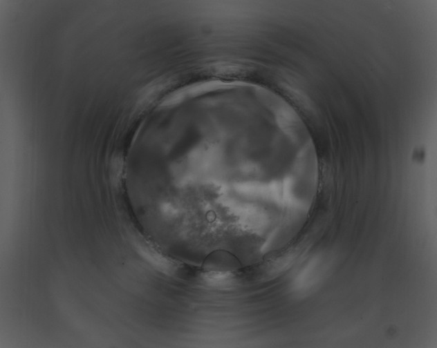 X0000093250189200710171434