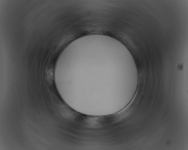 X0000093250190200710171434