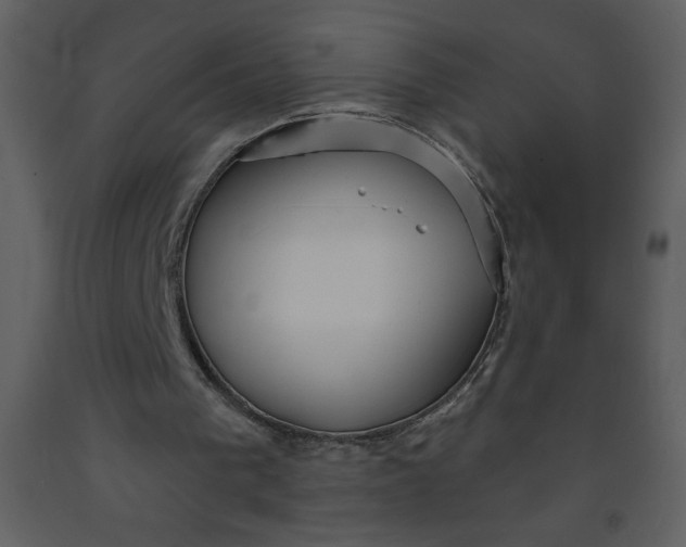 X0000093250193200710171434