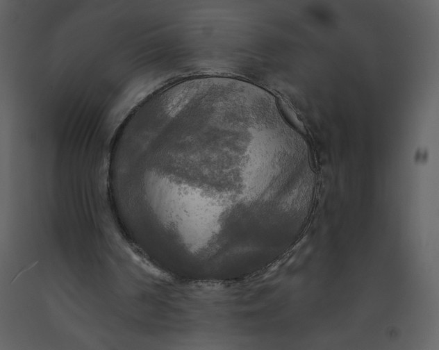 X0000093250194200710171434