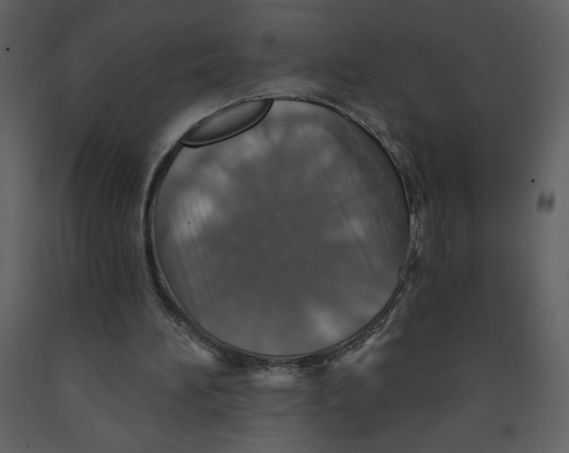 X0000093250196200710171434