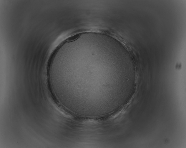 X0000093250198200710171434