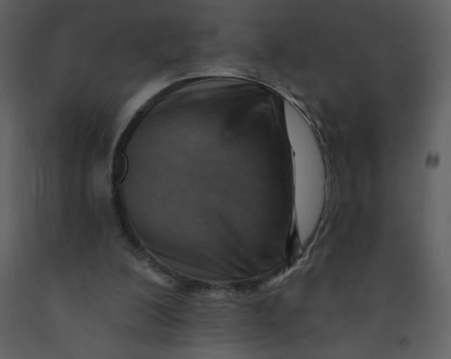 X0000093250200200710171434