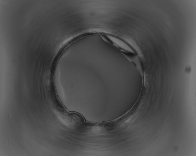 X0000093250204200710171433