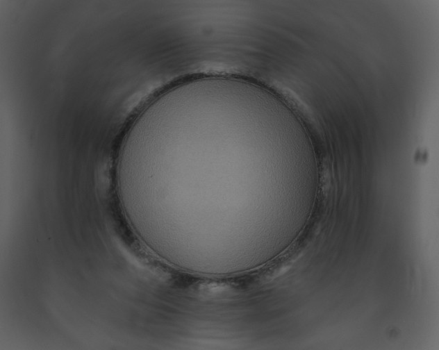 X0000093250208200710171433