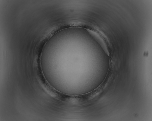 X0000093250209200710171433