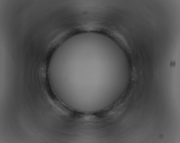 X0000093250210200710171433